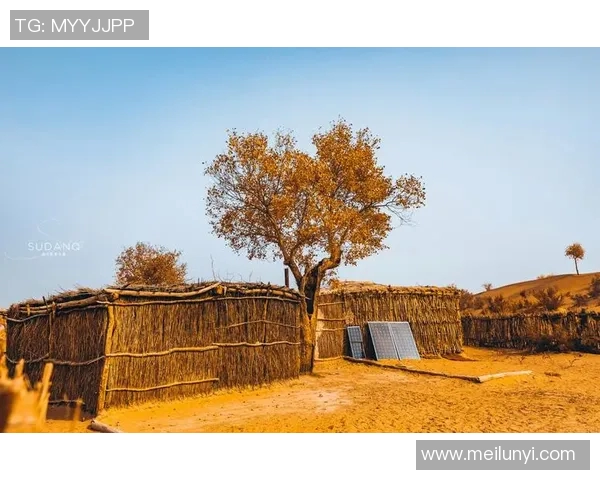 古铁雷斯的传奇人生与不屈精神探秘之旅 古铁雷斯的传奇人生与不屈精神探秘之旅