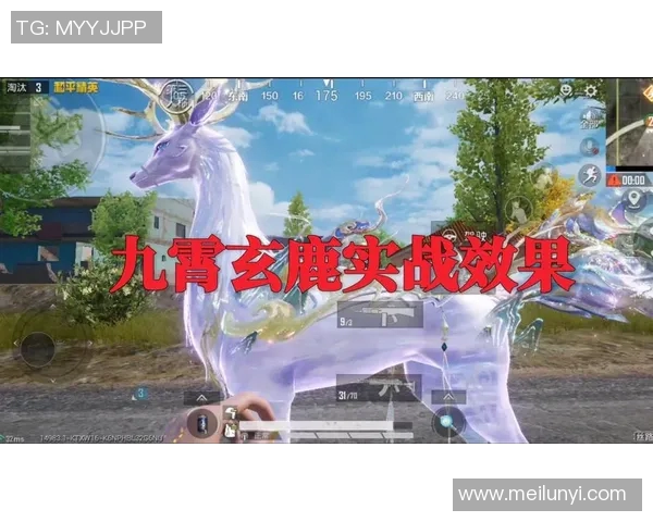 从零起步到巅峰：和平精英比赛全方位实战技巧与经验分享